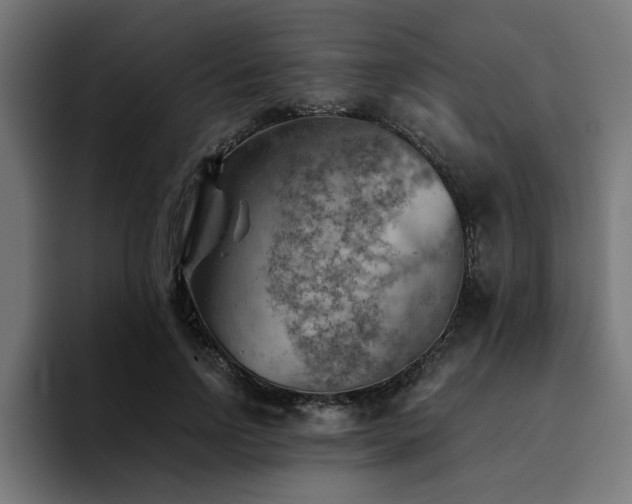 X0000094450742200711081304