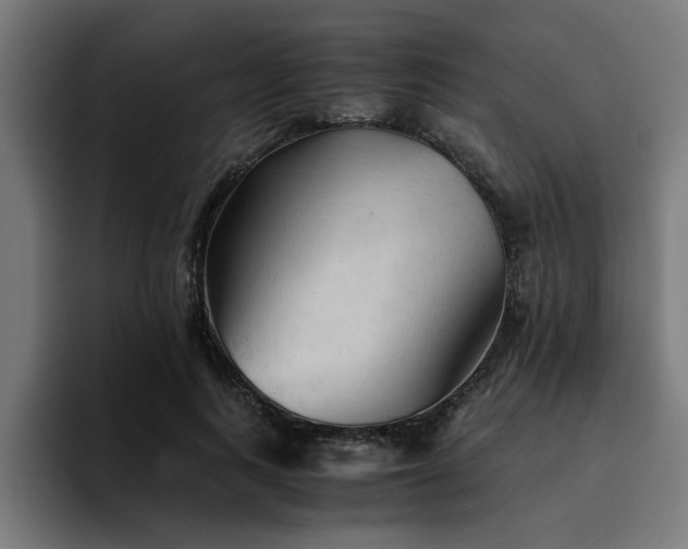 X0000094450743200711081304