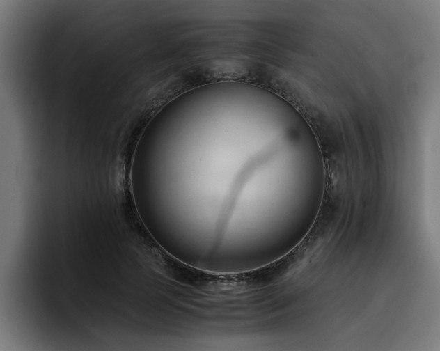 X0000094450745200711081304