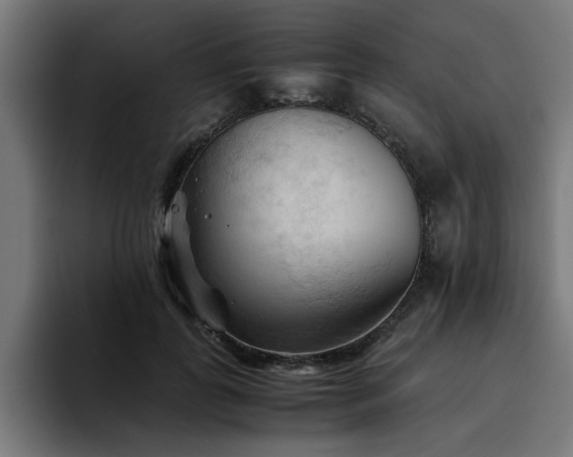 X0000094450747200711081304