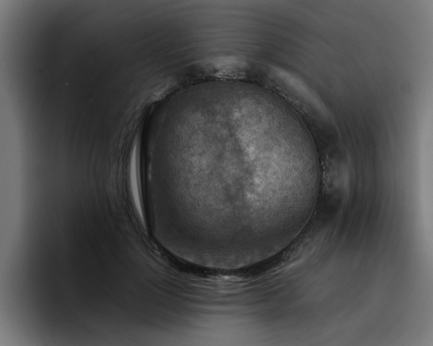 X0000094450748200711081304
