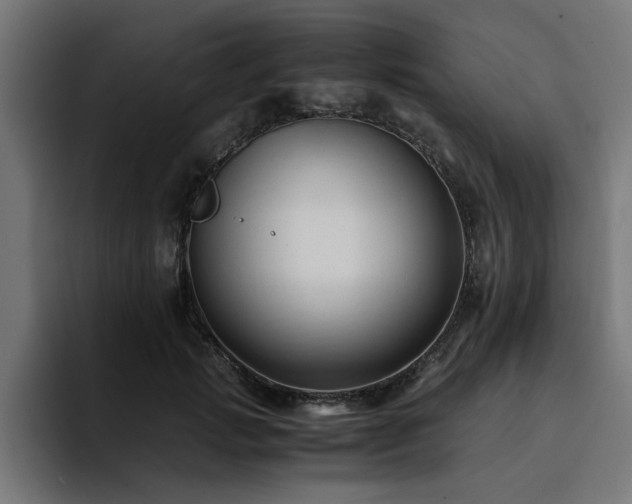X0000094450749200711081304