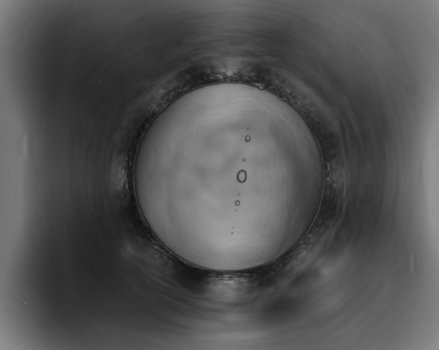 X0000094450754200711081304