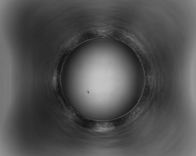 X0000094450757200711081304