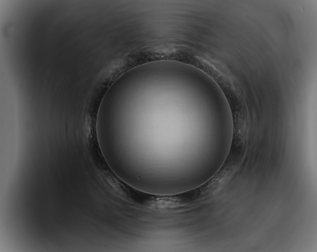 X0000094450758200711081304