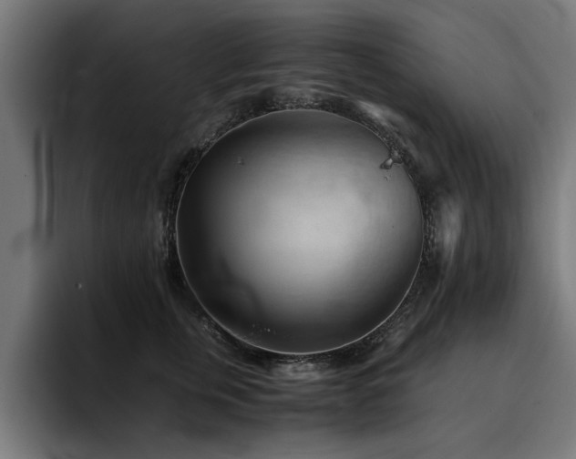 X0000094450759200711081304