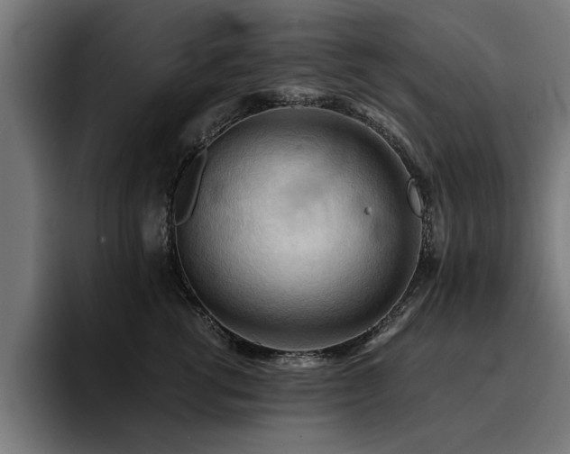 X0000094450762200711081304