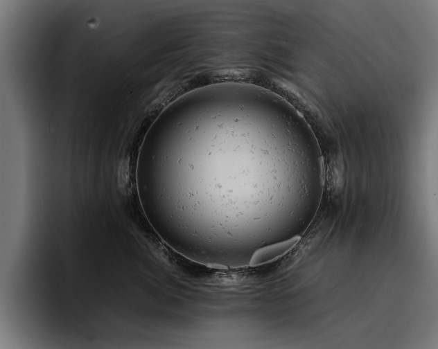 X0000094450764200711081304