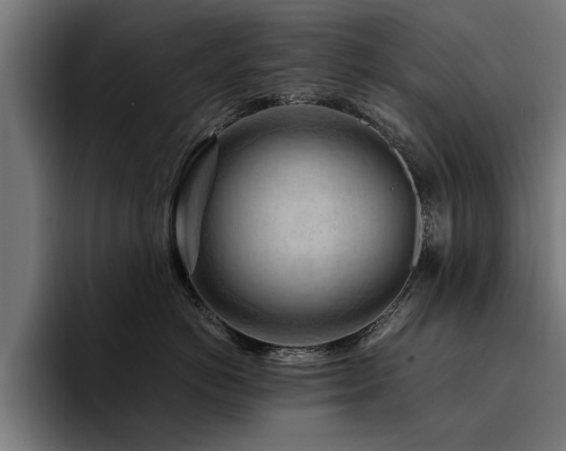 X0000094450766200711081304