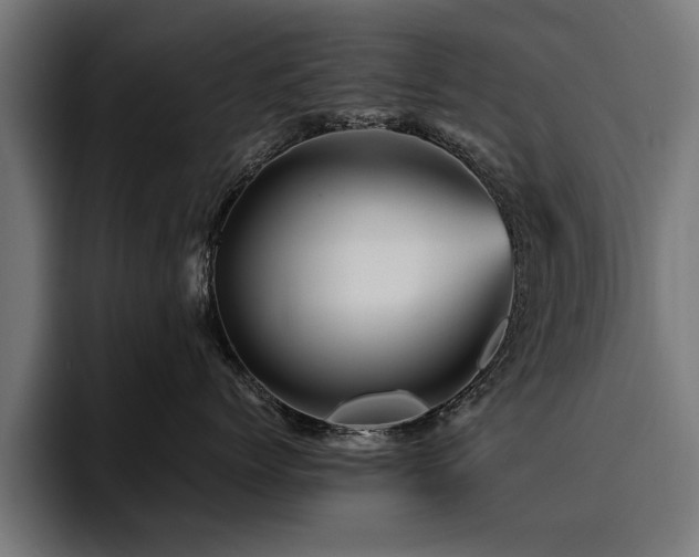 X0000094450768200711081304