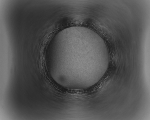 X0000094450769200711081304