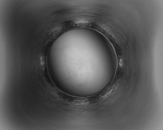 X0000094450771200711081304