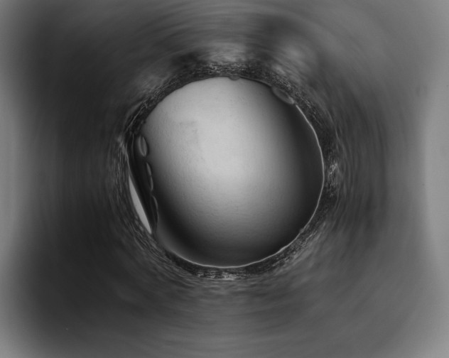 X0000094450772200711081304
