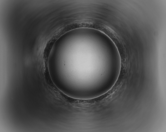 X0000094450774200711081304