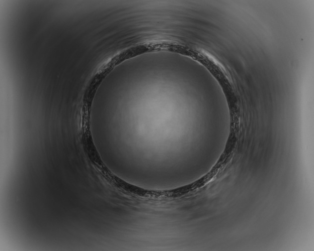 X0000094450775200711081304