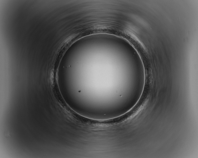 X0000094450777200711081304