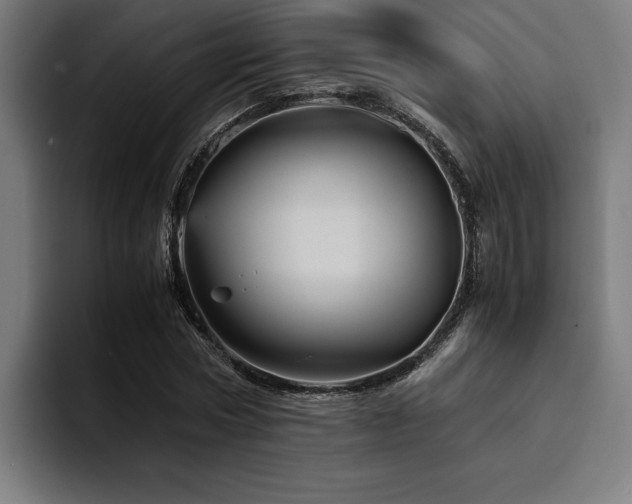 X0000094450778200711081304