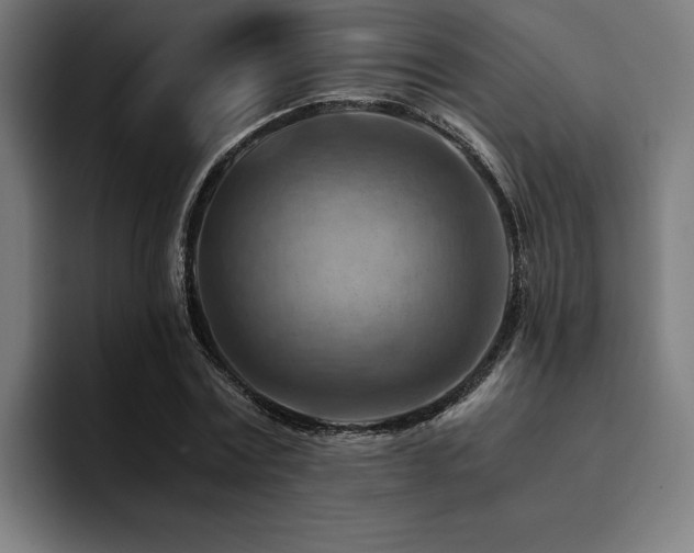 X0000094450779200711081304
