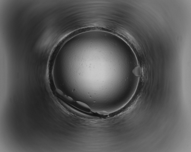 X0000094450780200711081304