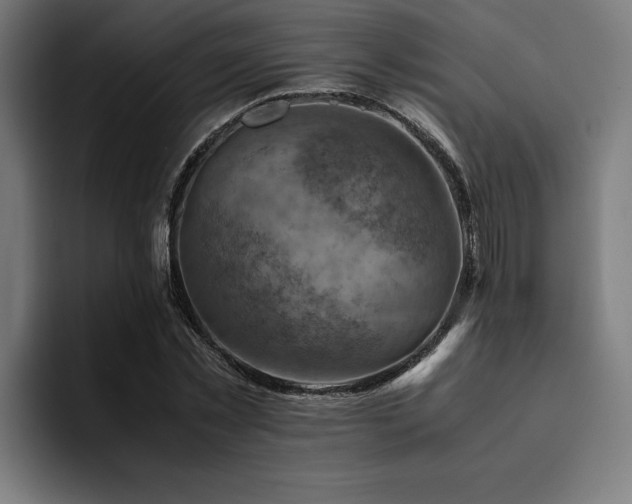 X0000094450781200711081304