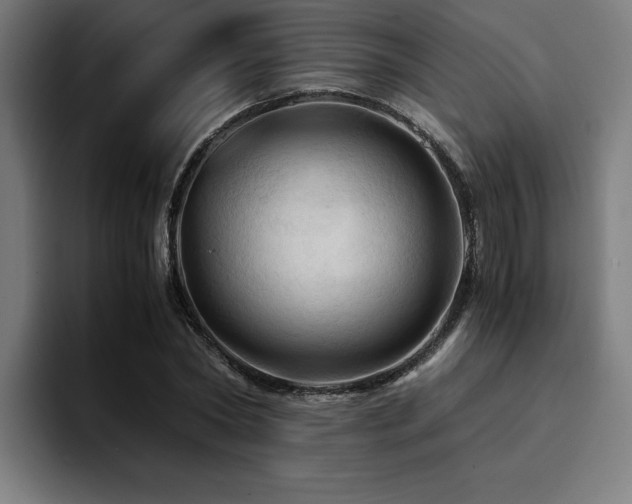 X0000094450782200711081304