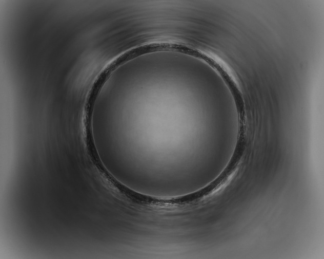 X0000094450783200711081304