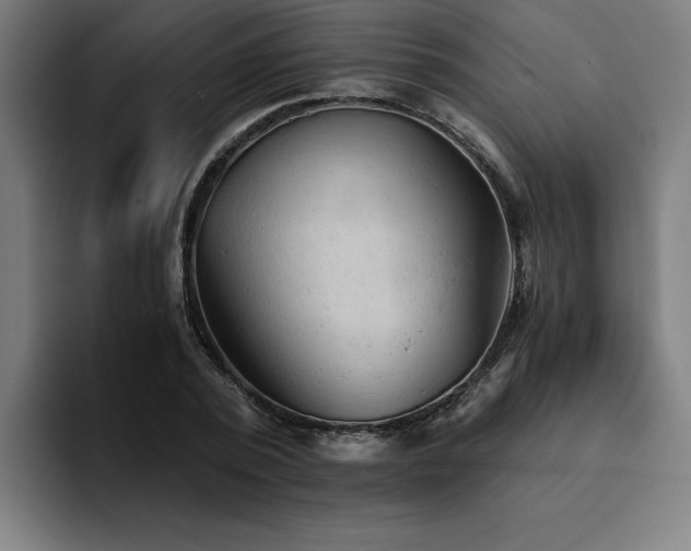 X0000094450784200711081304