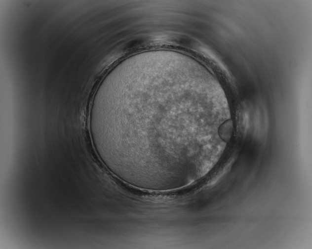 X0000094450785200711081304
