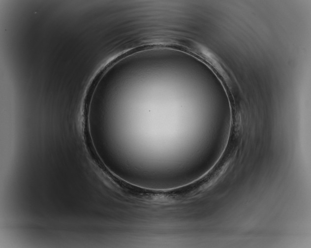 X0000094450787200711081304