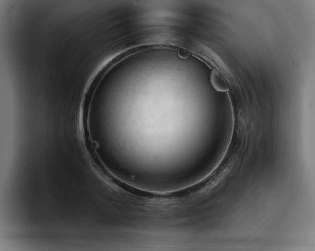 X0000094450788200711081304