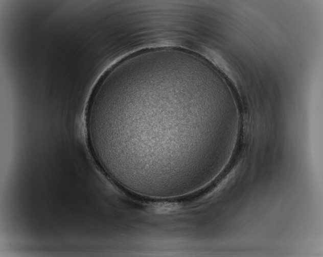 X0000094450789200711081304