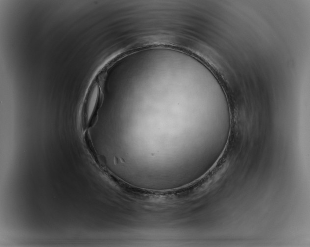 X0000094450790200711081304