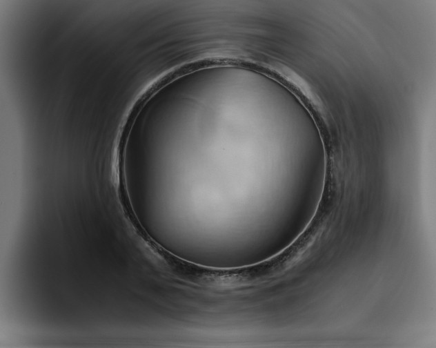X0000094450791200711081304