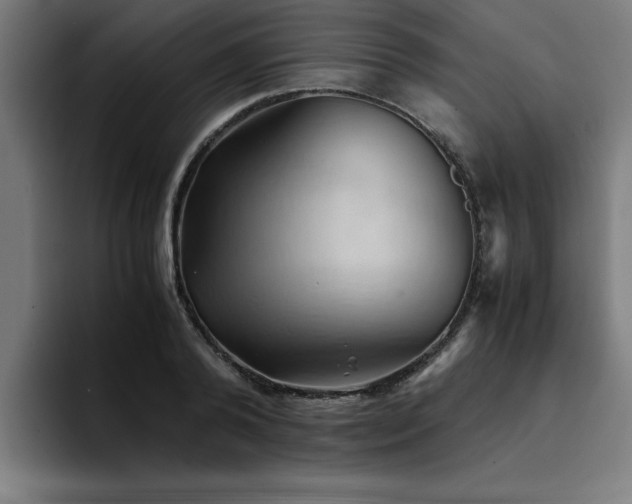 X0000094450792200711081304