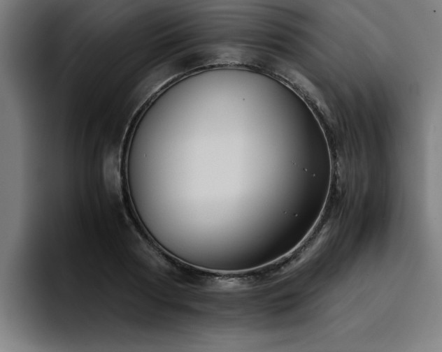 X0000094450794200711081303