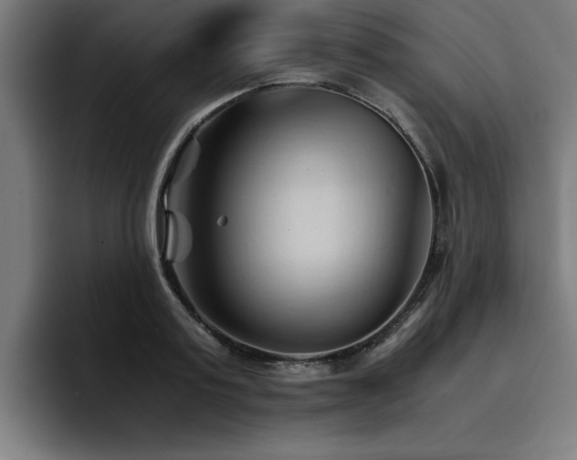 X0000094450795200711081303