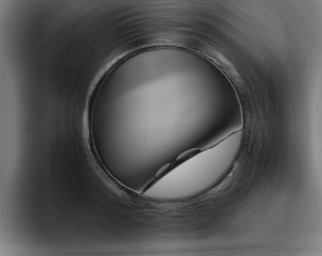X0000094450796200711081303
