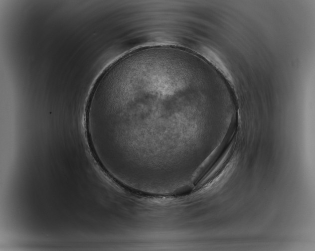X0000094450797200711081303