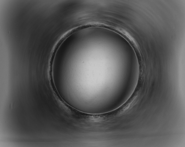 X0000094450799200711081303
