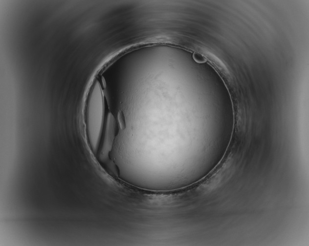 X0000094450800200711081303