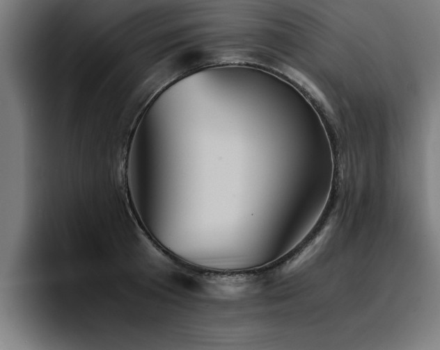 X0000094450801200711081303