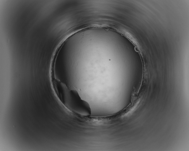 X0000094450803200711081303