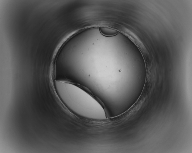 X0000094450804200711081303