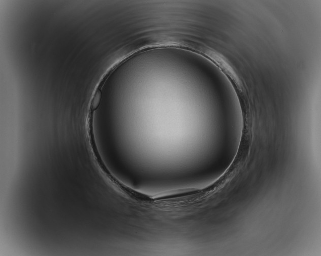 X0000094450805200711081303