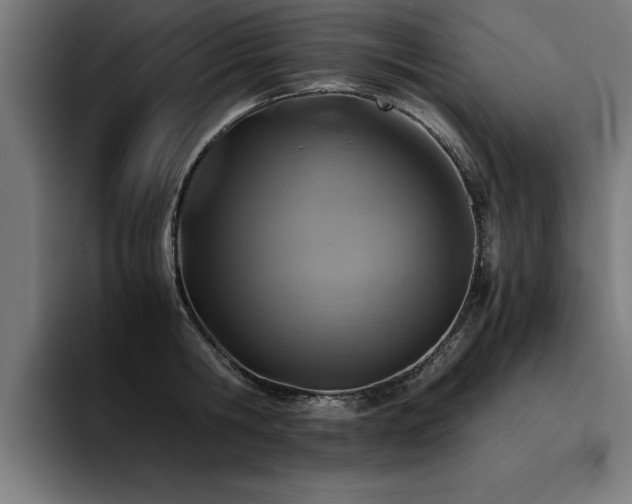 X0000094450806200711081303