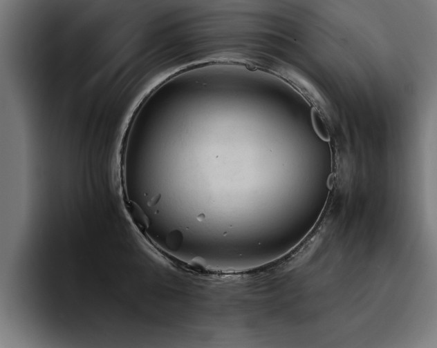 X0000094450808200711081303