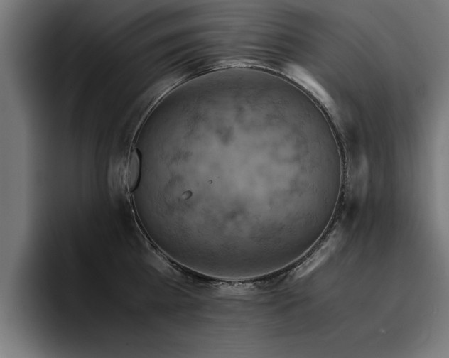 X0000094450809200711081303
