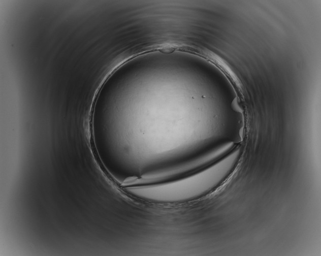 X0000094450810200711081303