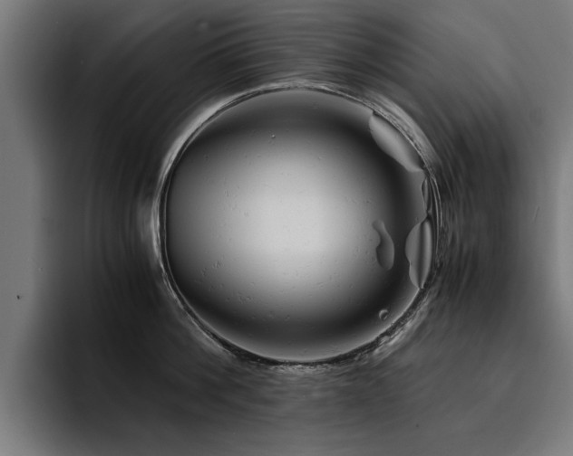 X0000094450812200711081303
