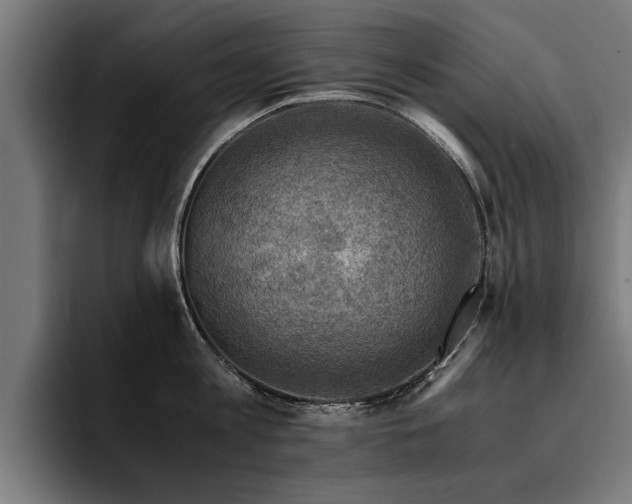 X0000094450813200711081303